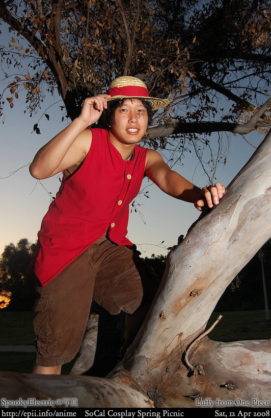 figurine one piece luffy shanks